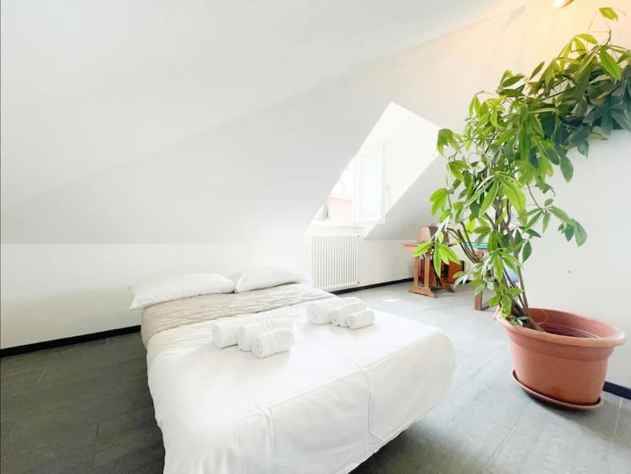 Mansarda Vista Mare A Zinola Apartment ซาโวนา ภายนอก รูปภาพ